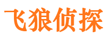 丰台市私家侦探